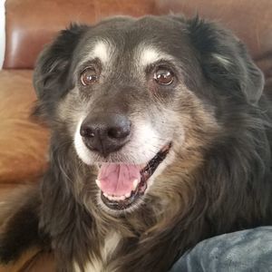 Meet your Posher, Margie